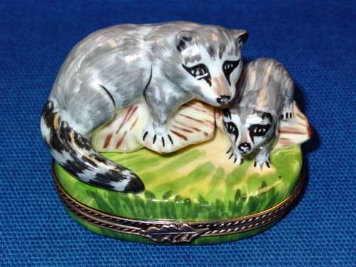 RACCOON W/BABY